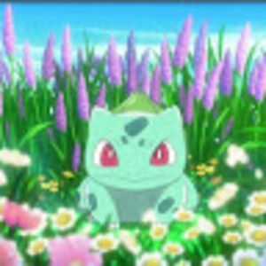 Meet your Posher, Gabrielle